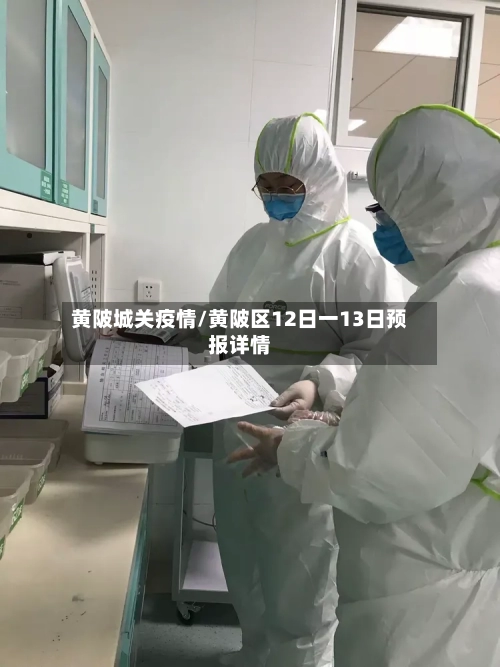 黄陂城关疫情/黄陂区12日一13日预报详情-第2张图片
