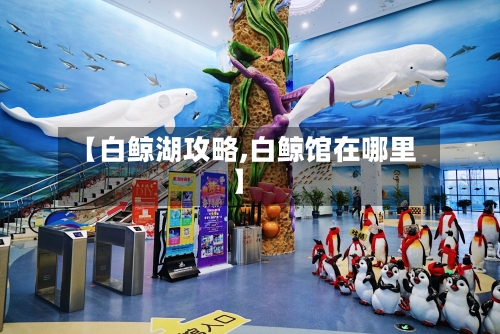 【白鲸湖攻略,白鲸馆在哪里】