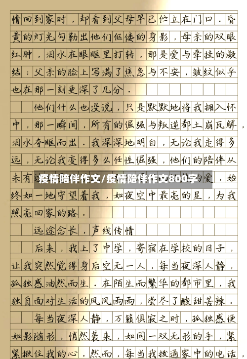 疫情陪伴作文/疫情陪伴作文800字-第2张图片