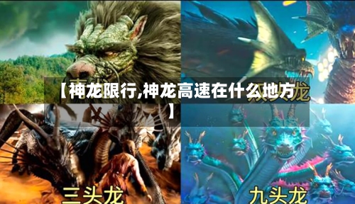 【神龙限行,神龙高速在什么地方】