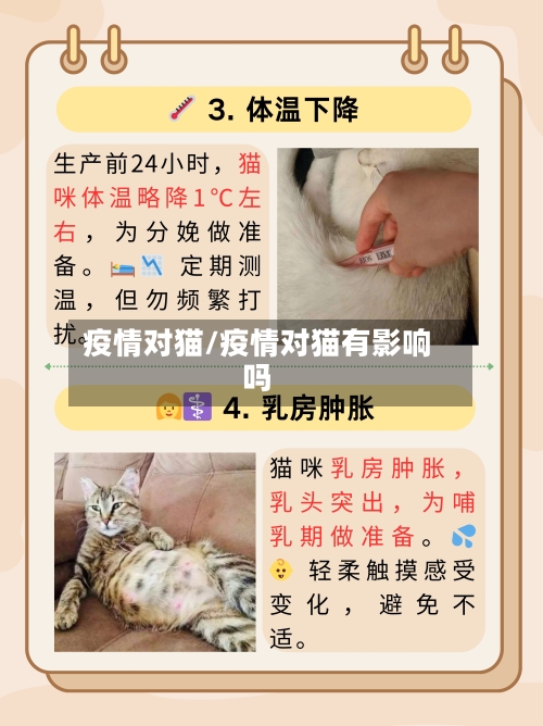 疫情对猫/疫情对猫有影响吗