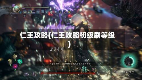 仁王攻略(仁王攻略初级刷等级)-第2张图片
