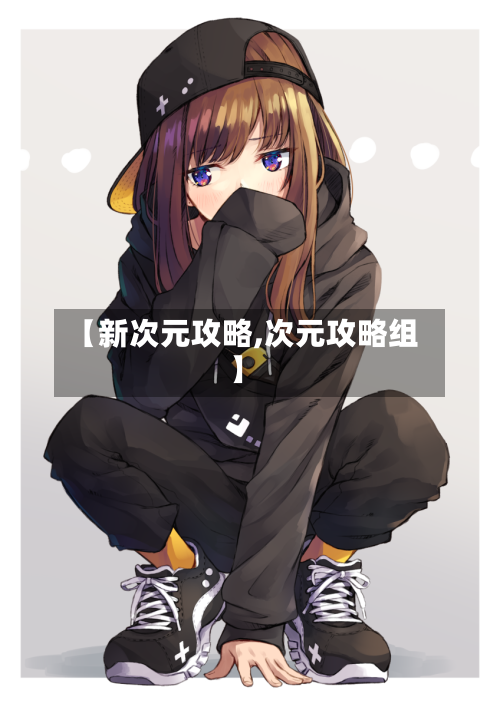 【新次元攻略,次元攻略组】-第2张图片