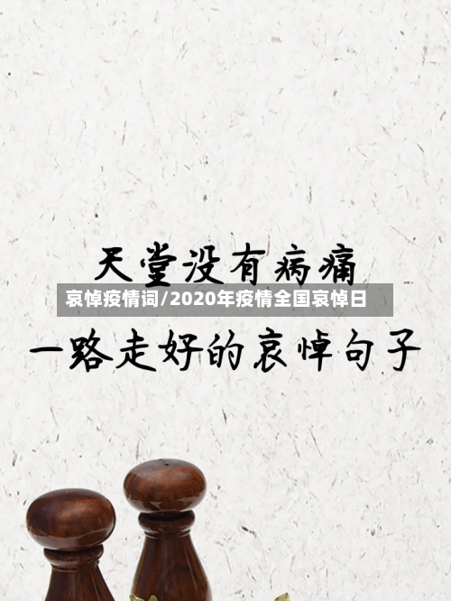 哀悼疫情词/2020年疫情全国哀悼日