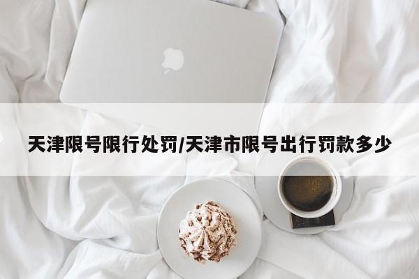 天津限号限行处罚/天津市限号出行罚款多少