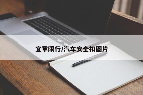 宜章限行/汽车安全扣图片