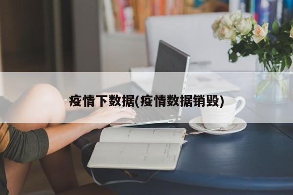 疫情下数据(疫情数据销毁)