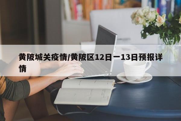 黄陂城关疫情/黄陂区12日一13日预报详情