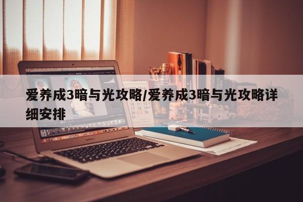 爱养成3暗与光攻略/爱养成3暗与光攻略详细安排