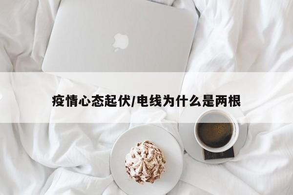 疫情心态起伏/电线为什么是两根
