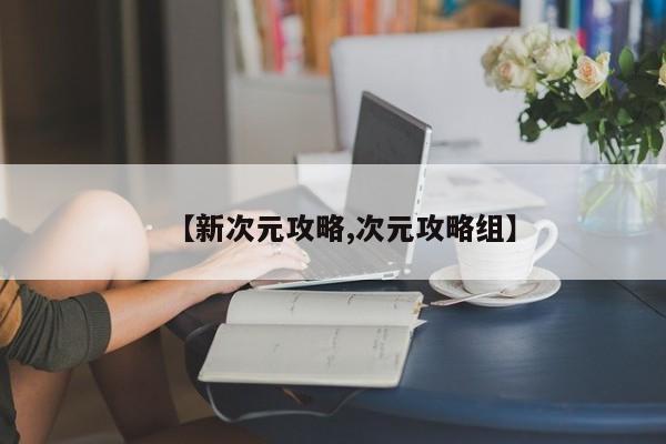 【新次元攻略,次元攻略组】